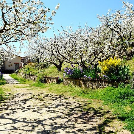 فيلا Casa Valeriana نافاكونسيخو المظهر الخارجي الصورة